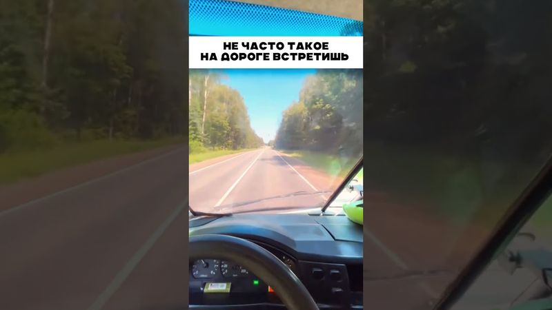 Не часто такое встретишь 👍🏻 🤯