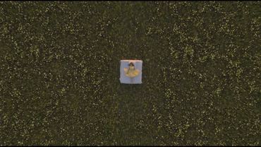 Sandra Top - Ромашки (Official Video)