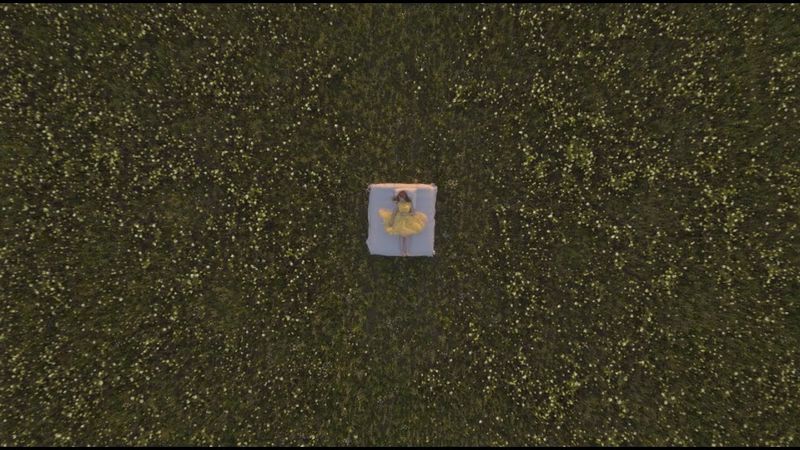 Sandra Top - Ромашки (Official Video)