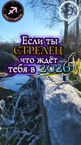 #астропрогноз #гороскоп #рекомендации #стрелец #longervideos 