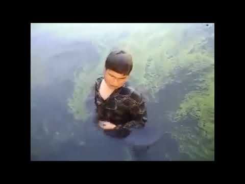 Спал и срал