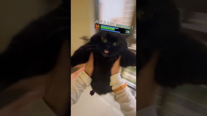 Хе-хе #dota2 #дота #dota #дота2 #avulus