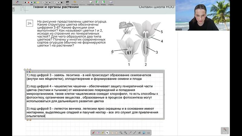 Реанимация. День 15 | тгк: biowithbear