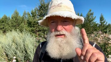 Волшебная Полынь: Природные секреты здоровья