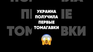 Если американская поддержка, то только такая