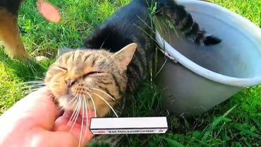 #Славянск. 7 сентября 2025г. Утро.