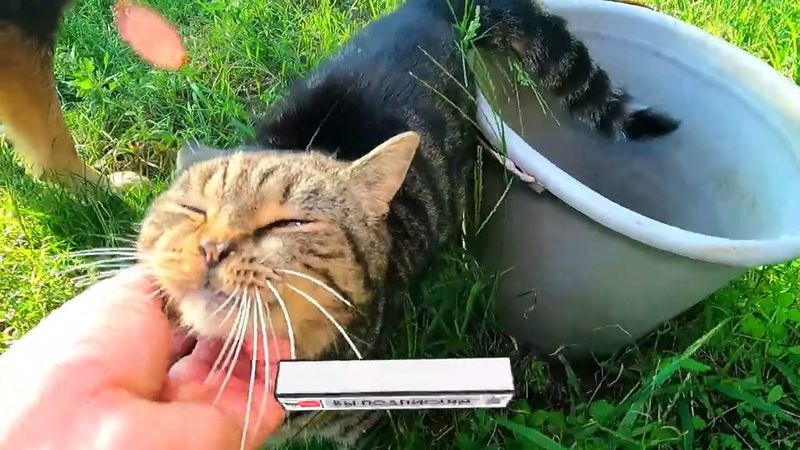 #Славянск. 7 сентября 2025г. Утро.