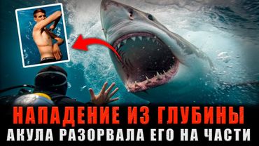 НАПАДЕНИЕ ИЗ ГЛУБИНЫ: Акула разорвала его на части, но ОН ВЫЖИЛ