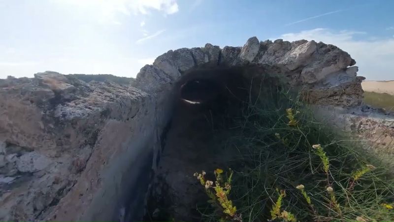 ДРЕВНЯЯ РЕЛИКВИЯ НА КОЛХОЗНОМ ПОЛЕ