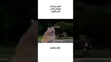 حال ندارم #دوست #میم_های_باحال#خندارترین #میم  #میمز #خنده_دار #جديد #کلاس #مدرسه #کلاس_آنلاین