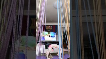 16 апреля 2022 г.