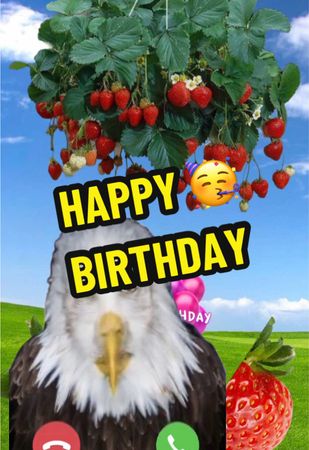 Happy birthday 🥳 #subemelaradio #eagle #irl #strawberry #emotionalvid...