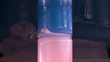 Battle of the Glue Sticks