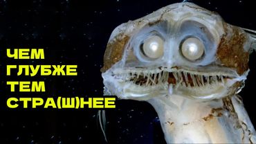 ЧЕМ ГЛУБЖЕ В ОКЕАН, ТЕМ СТРАННЕЕ ОБИТАТЕЛИ