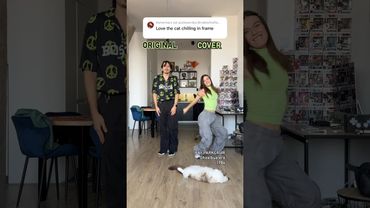 ORIGINAL, COVER OR THE CAT?😂 #dancevideo #dance #piotrovscy