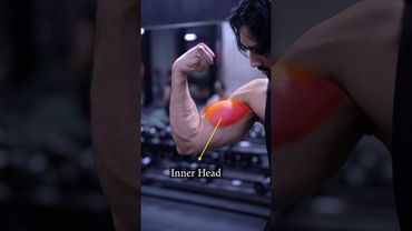 2 Exercises to Grow your Inner Biceps 💪🏽 #biceps