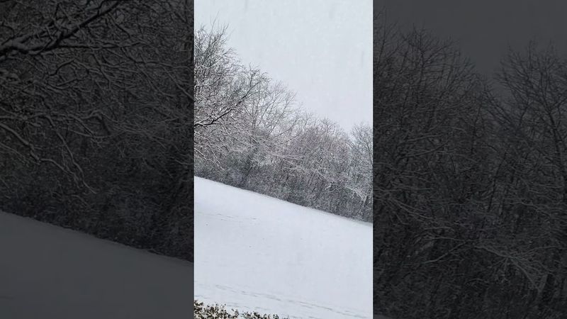 فيروز ثلج  ثلج  عم تشتي دنيا ثلج