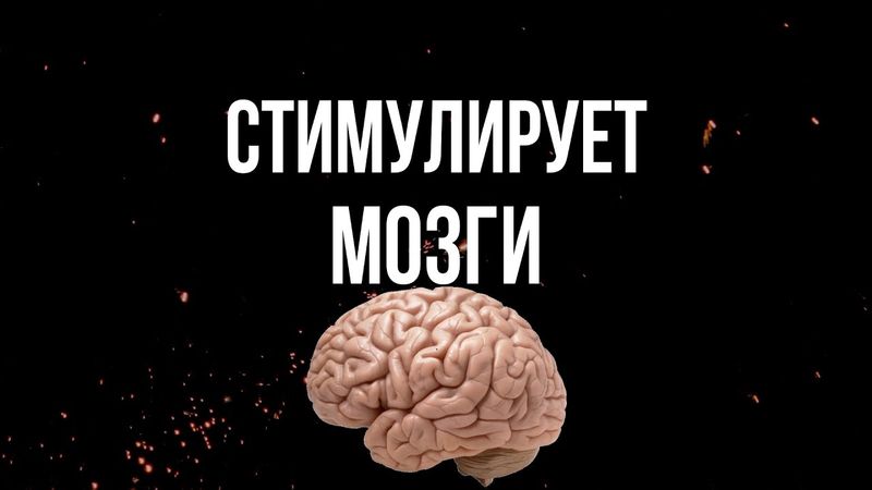 Всё про кино от тех, кто его снимает! [Киноакадемия "Шестнадцать на Девять"]