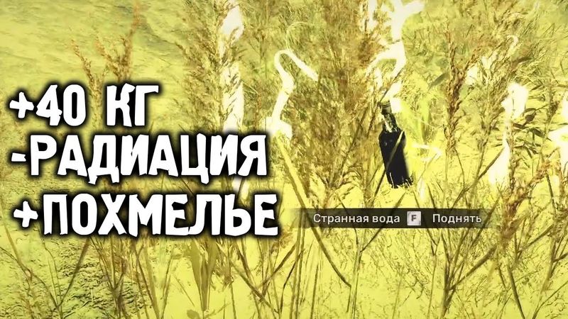 Я ИСКАЛ ЭТОТ АРТЕФАКТ 2 ЧАСА - STALKER 2 Сердце Чернобыля #19