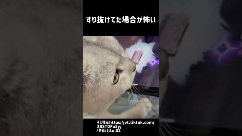これは猫の手も借りたくなる #shorts #原神 #genshinimpact #funny #雷電将軍