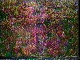 WCOM-TV Mansfield Sign-Off (1988)