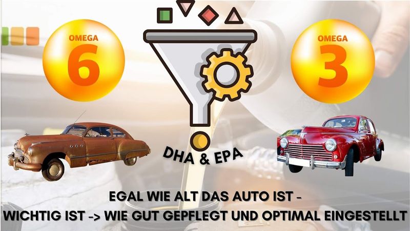 #ölwechsel ? Was hat das Auto mit #omega3 & #omega6 zu tun? #stilleentzündungen #gesundheitistalles