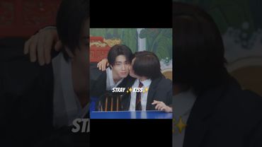 Stray 💋 #straykids #skzkarma #han #I_N #changbin #felix #bangchan