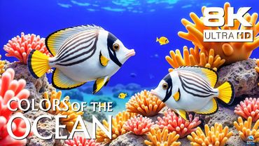 Stunning 8K Underwater World for DEEP Relaxation - Marine Life, Marine Animals and Coral Reefs