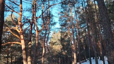 Работа по найму в организации. Возможен ли успешный успех для простого человека?