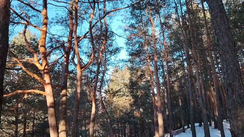 Работа по найму в организации. Возможен ли успешный успех для простого человека?