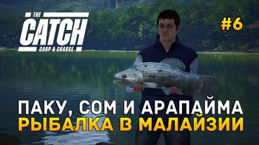 Паку, Сом и Арапайма. Рыбалка в Малайзии - The Catch Carp & Coarse #6