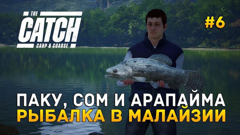 Паку, Сом и Арапайма. Рыбалка в Малайзии - The Catch Carp & Coarse #6