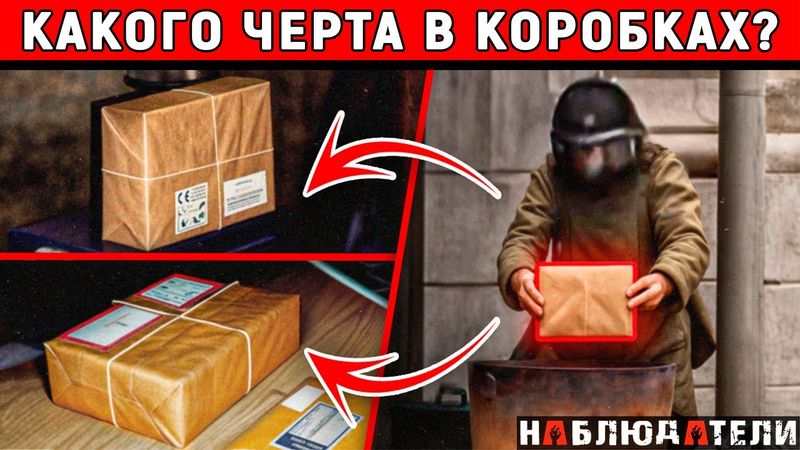 Мужчина получил странную посылку. Он думал, что это просто почта. Он ошибся - охота началась.