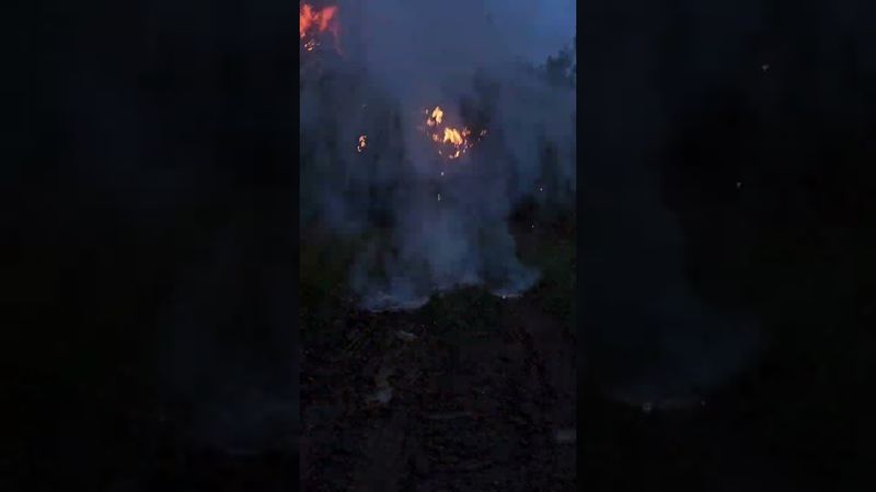 Взрыв петарды с мукой. #blowup #взрыв #мука #питбуль #петарды