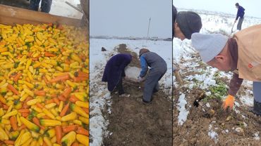 QISHDA SABZI KOVLASH MAZZADA🥕🥕