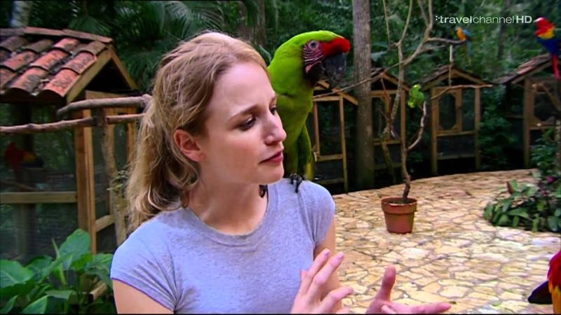 Travel Channel HD в пакете "Континент ТВ"