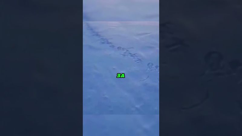 Шанс Встретить Такое Чудище Почти Невозможен 🦄🌌🎰