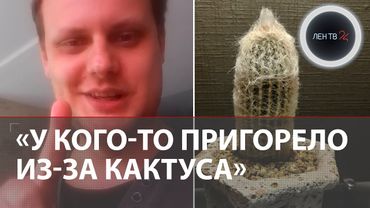 Скинул в рабочий чат фото своего... КАКТУСА и лишился работы: Большой скандал в колледже Волгограда