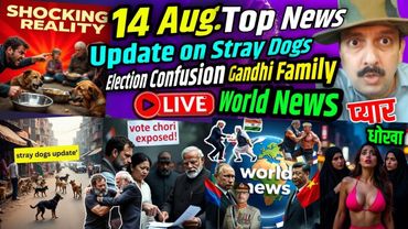 14 Aug. Top News | Update on Stray Dogs | Election Confusion में फंस गया Gandhi परिवार  | World News