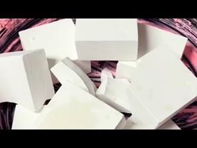 Pasted Bowl of Freshies 💕