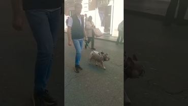 РИМ🇮🇹#обзор #рекомендации #италия #путешествия #жизнь #стиль #шортс #красота #мир