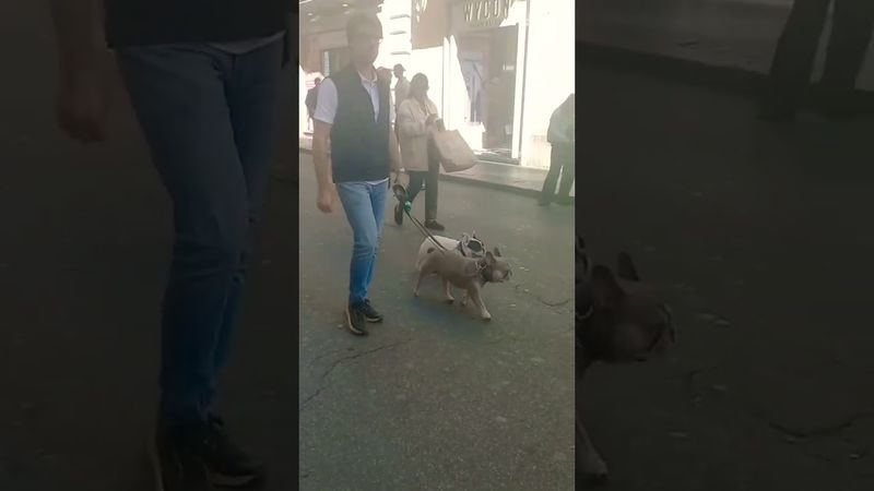 РИМ🇮🇹#обзор #рекомендации #италия #путешествия #жизнь #стиль #шортс #красота #мир