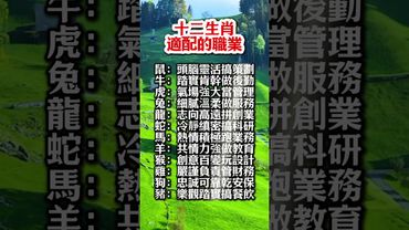 【十二生肖適配的職業】#生肖  #運勢  #玄學 #風水