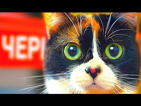 SlivkiShow в ЧЕРНОБЫЛЕ! [часть вторая]