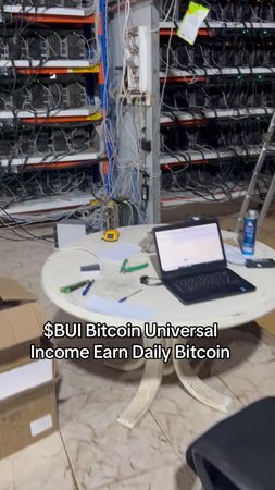 $BUI Bitcoin Universal Income Earn Daily Bitcoin #bitcoin #btc #solan...