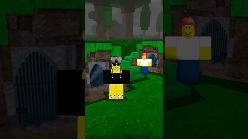 Коала Кид такой печалик к нему не приходит мама