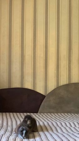 #рекомендации #рек 