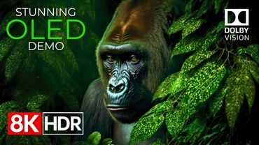 Beyond Imagination – Stunning 8K HDR 120fps Dolby Vision™ (8K Video)