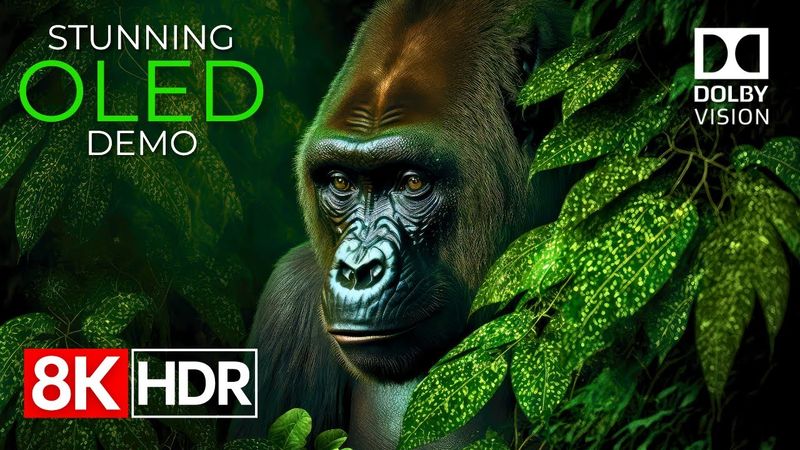 Beyond Imagination – Stunning 8K HDR 120fps Dolby Vision™ (8K Video)