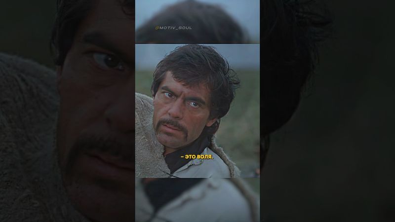 🔸Дурак или мудрец: кто знает больше?